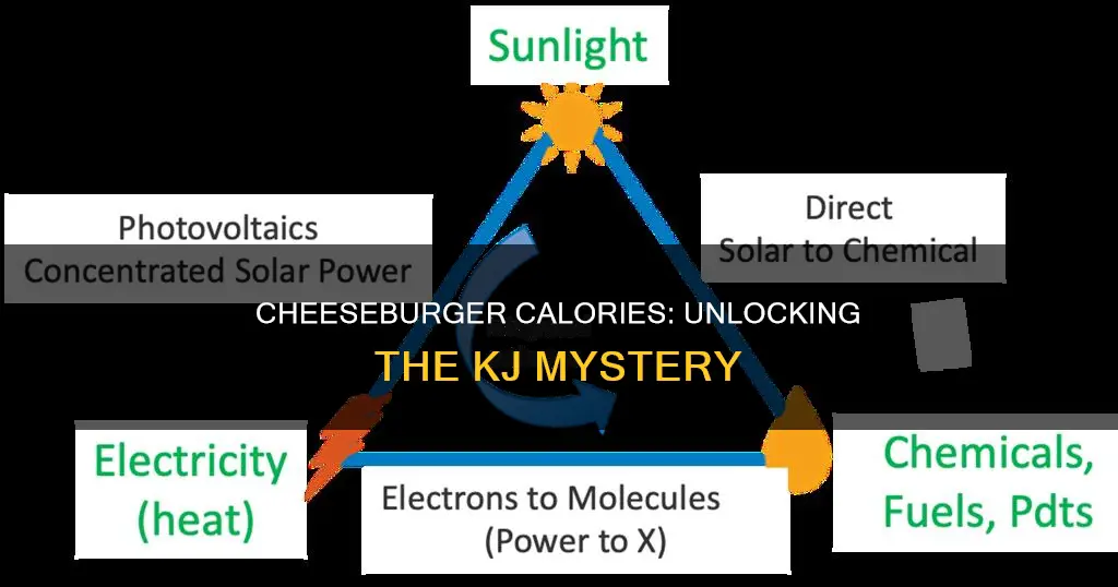 how many kj are in an 800 calories cheese burger