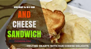 Ham and Cheese Sandwich: Uncovering the Caloric Energy in Every Bite