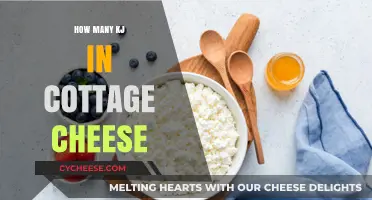 Cottage Cheese Calories: Unveiling the Kilojoule Content in Your Favorite Snack