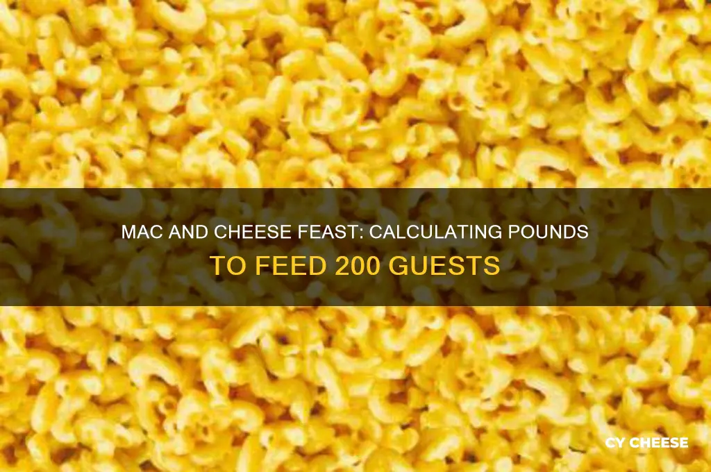how many lbs of macarni and cheese feed 200 people