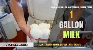Mozzarella Magic: Crafting Cheese from a Gallon of Milk