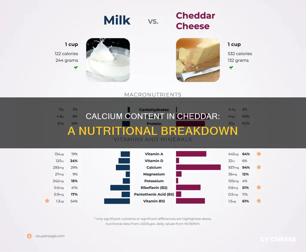 how many mg of calcium in cheddar cheese