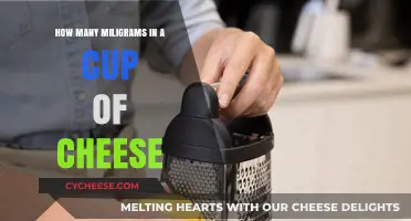 Cheese Measurements: How Many Milligrams in a Cup?