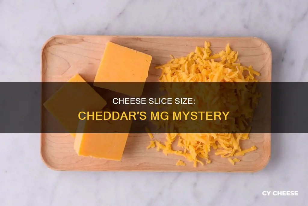 how many miligrams in two slices of cheddar cheese