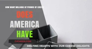 America's Cheese Surplus: Millions of Pounds in Storage