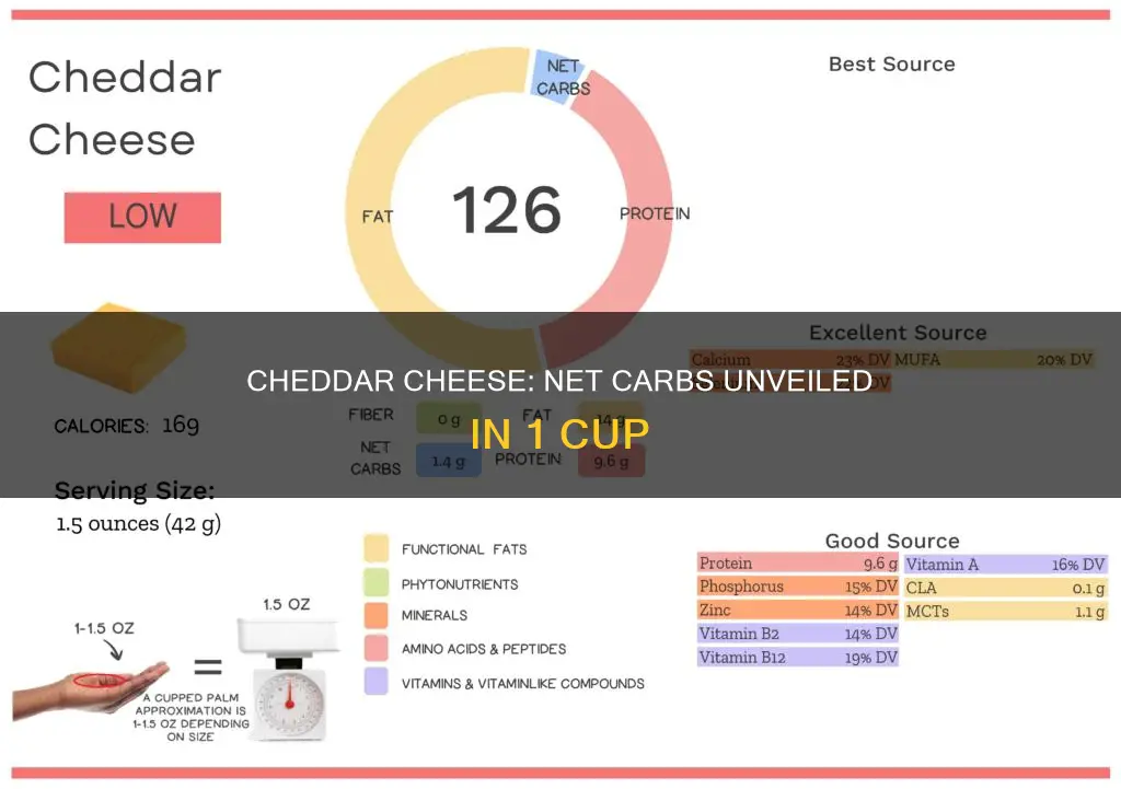 how many net carbs in 1 cup cheddar cheese