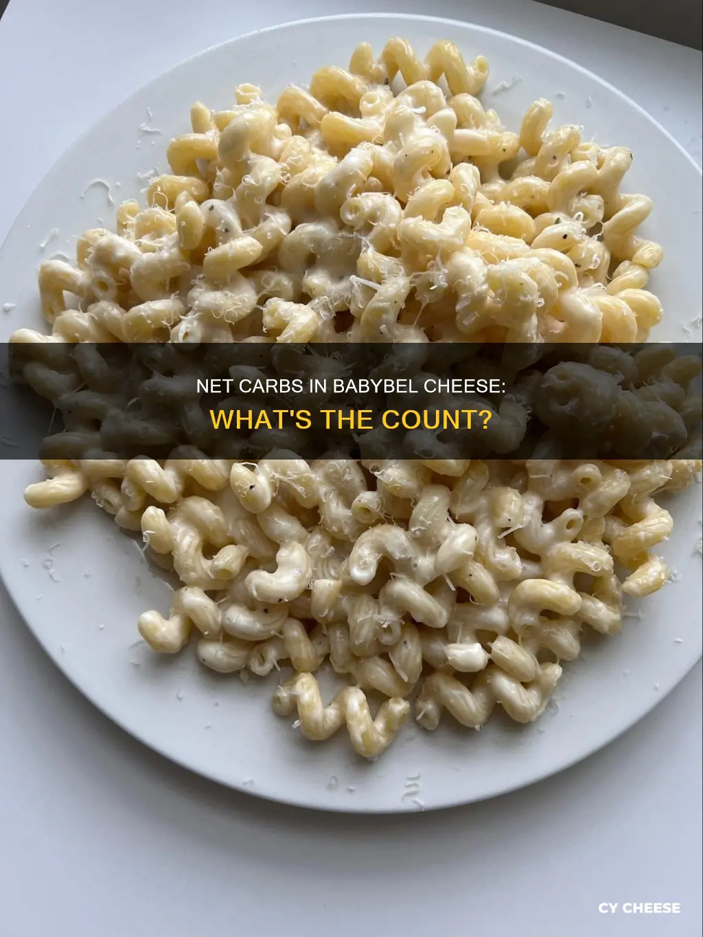 how many net carbs in babybel cheese