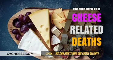 Cheese-Related Fatalities: Uncovering the Surprising Truth Behind the Numbers