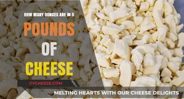 Converting Pounds to Ounces: How Much is 5 Pounds of Cheese?