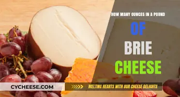 Brie Cheese Measurements: Ounces in a Pound Explained