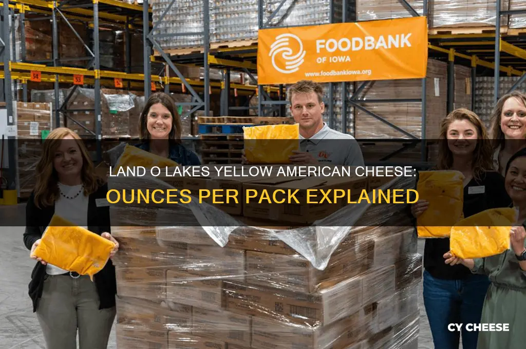 how many ounces in land o lakes yellow american cheese