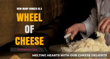 Wheel of Cheese Weight: Ounces and Portion Guide Revealed