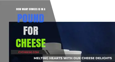 Understanding Cheese Measurements: Ounces to Pounds Conversion Guide