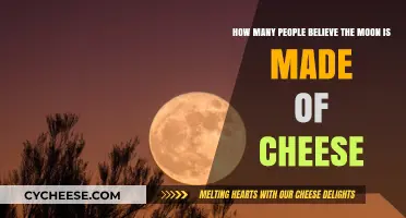 Moon Myth: The Cheesy Beliefs of the Masses