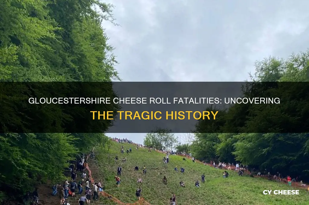 how many people died at the gloucstershire cheese roll