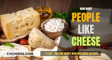 Cheese Appreciation: A Universal Love Story