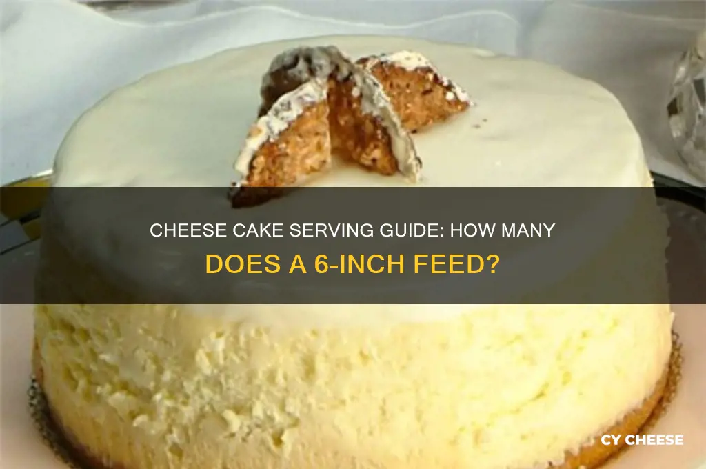 how many people will a 6 cheese cake feed