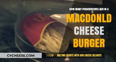 Unveiling the Preservative Count in a McDonald's Cheeseburger