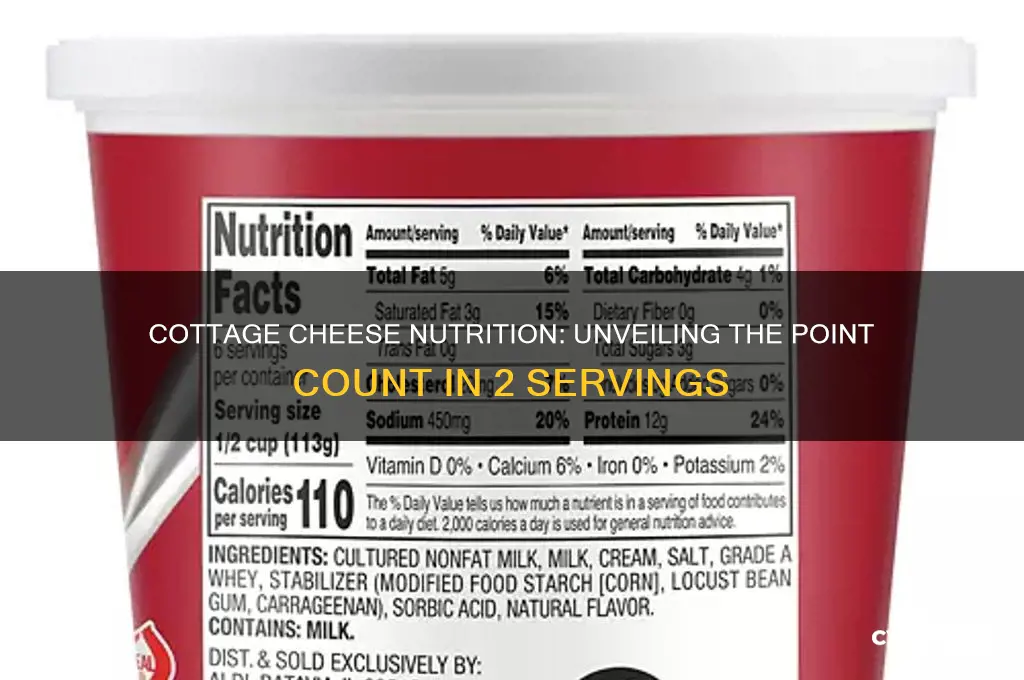 how many points are in 2 cottage cheese
