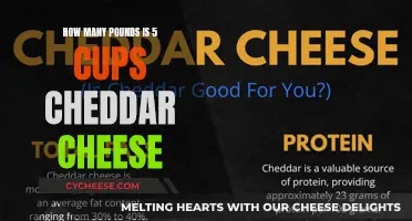 Cheddar Conundrum: Converting Cups to Pounds