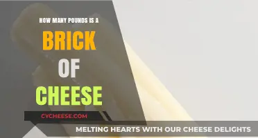 Understanding Cheese Brick Weights: How Many Pounds in a Standard Brick?