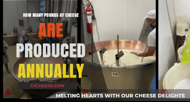Annual Global Cheese Production: Pounds, Trends, and Insights