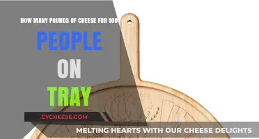 Perfect Cheese Tray Portions: How Much Cheese for 100 Guests?