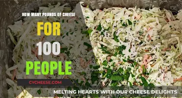 Cheese Calculation Guide: Serving 100 Guests with Perfect Portions