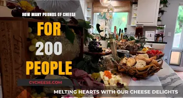 Cheese Calculations: How Much to Serve 200 Guests Perfectly