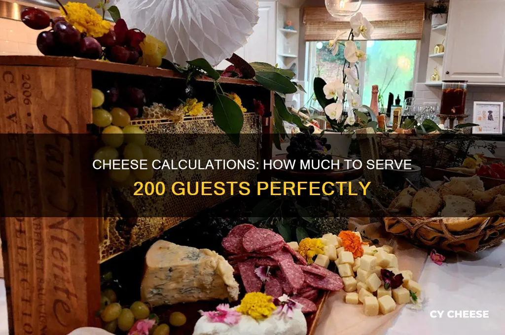 how many pounds of cheese for 200 people