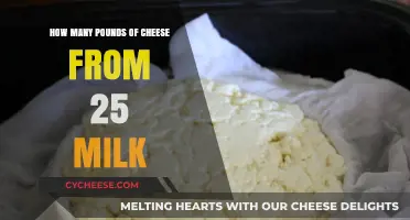 Transforming Milk to Cheese: Yield from 25 Pounds of Milk
