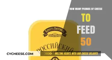 Feeding 50 Guests: Calculating the Perfect Cheese Quantity