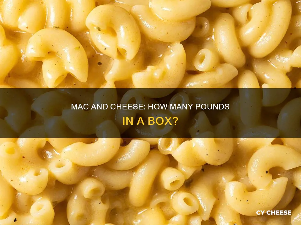 how many pounds of macaroni and cheese per box