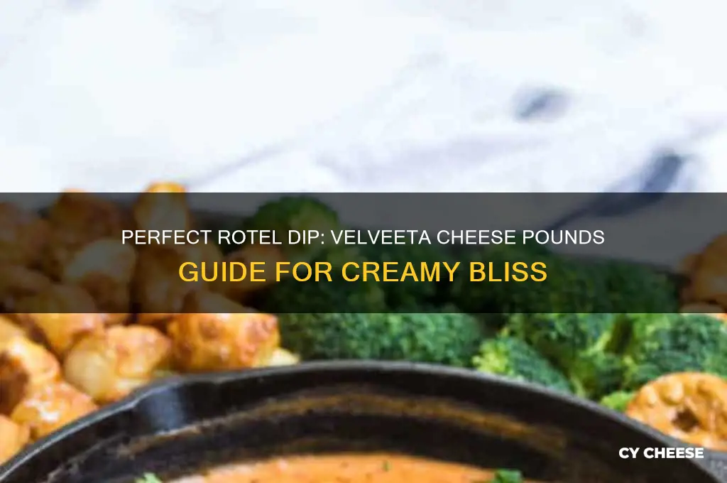 how many pounds of velveeta cheese for rotel dip