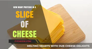 Unveiling the Protein Content in a Single Slice of Cheese