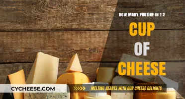 Cheese Protein: How Much in Half a Cup?
