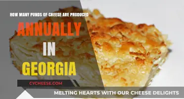 Georgia's Annual Cheese Production: Pounds of Dairy Delight Revealed