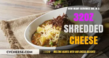 Big Bag of Cheese: How Many Servings?