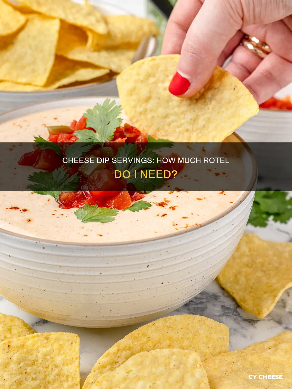 how many servings in rotel cheese dip