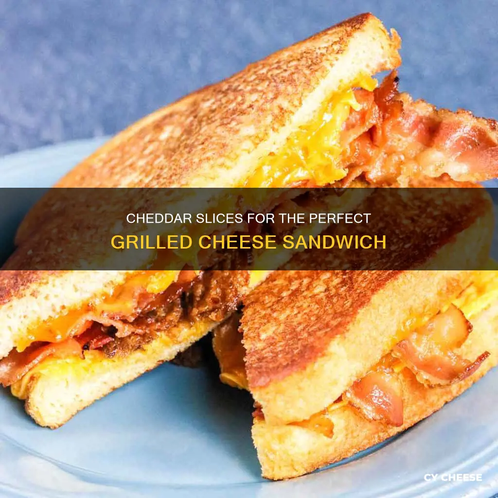 how many slices of cheddar cheese in grilled cheese