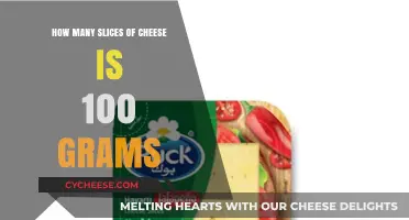 How Many Cheese Slices Equal 100 Grams? Quick Guide