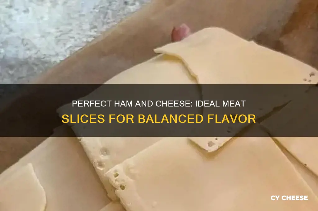 how many slices of meat go on ham and cheese