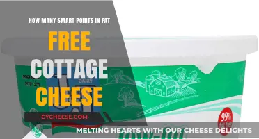 Fat-Free Cottage Cheese Smart Points: A Healthy WW Choice