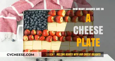 Exploring the Cheese Plate: Counting Squares for a Perfect Presentation