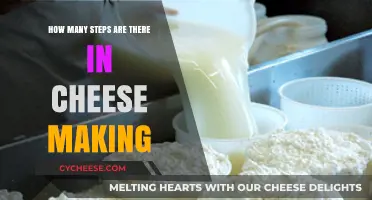 Mastering Cheese Making: Unveiling the Essential Steps to Perfect Cheese