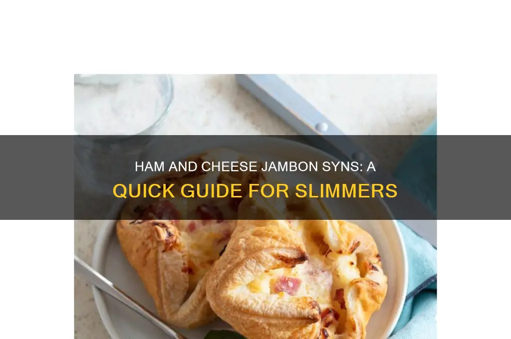how many syns in a ham and cheese jambon
