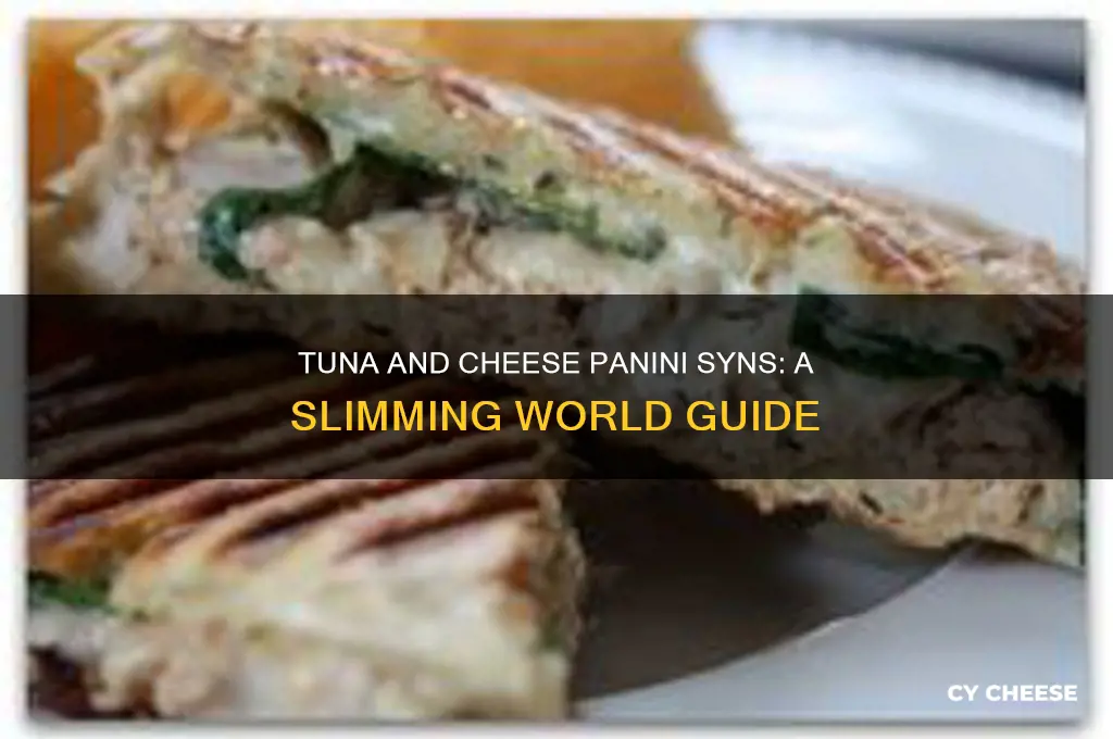 how many syns in a tuna and cheese panini