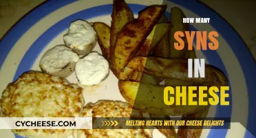 Syns in Cheese: A Guide to Counting on Slimming World