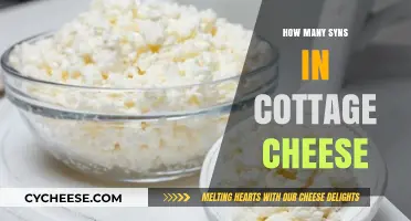 Cottage Cheese Syns: A Low-Syn Dairy Delight Explained
