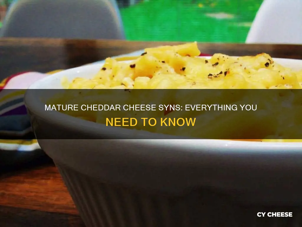 how many syns in mature cheddar cheese